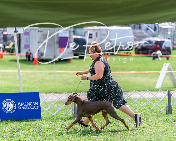 20240815-DSC07299