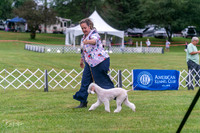 20250626-DSC02659