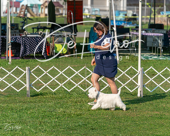 20240913-DSC00395