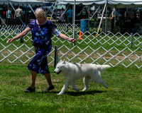 20250629-DSC09300