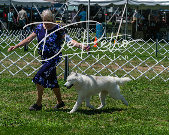 20250629-DSC09300