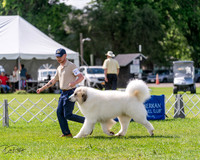 20240630-DSC02917