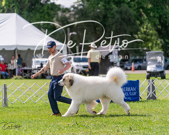 20240630-DSC02917
