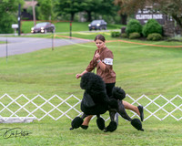 20250627-DSC06334