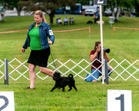 20250626-DSC03011