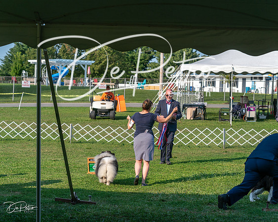 20240913-DSC00512