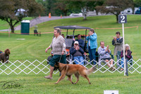 20250627-DSC06126